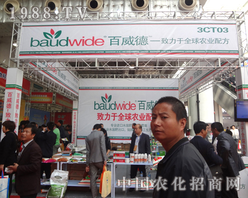 ��������չ����ȫ���Ը���������