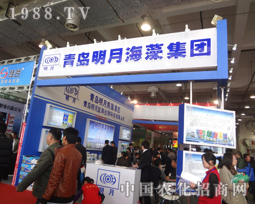 ���º�����������