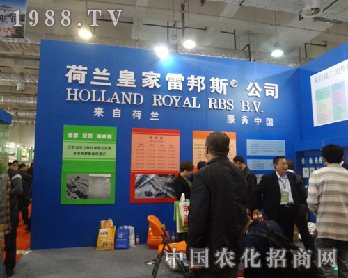 �װ�˹-���Ժ��m������(w��)�Ї�