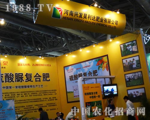 2013�����׏�(f��)�ʕ�