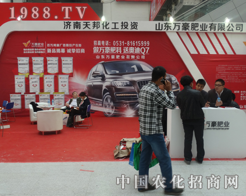     �f����˾����2013����ֲ�������ʲ���