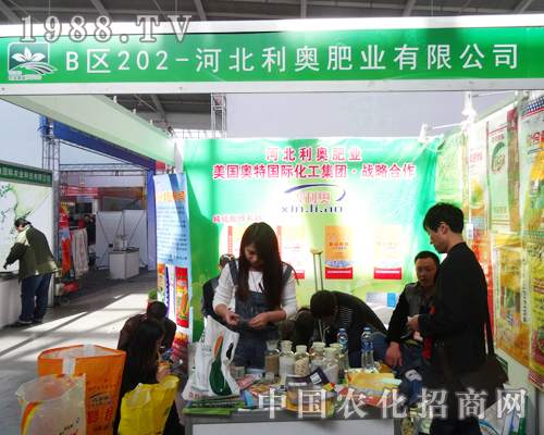 ���W�ʘI(y��)��2014���(y��ng)���ϕ�(hu��)��ô�ϲ��