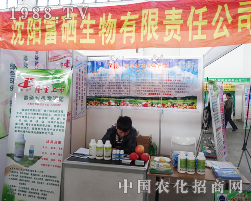 ��������ӵ�ʮ�����(y��ng)�����p����(hu��)