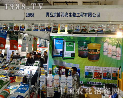 ��20��ɽ�|ֲ����(hu��)�ϵľ�����(r��n)�r(n��ng)���ƏV