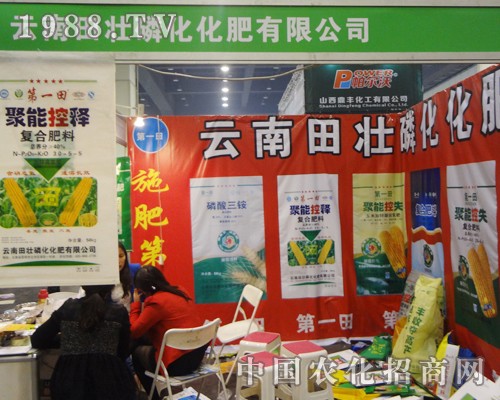 ��������׻����I(y��)���Є�(d��ng)��11�����ݷ��ϕ�(hu��)