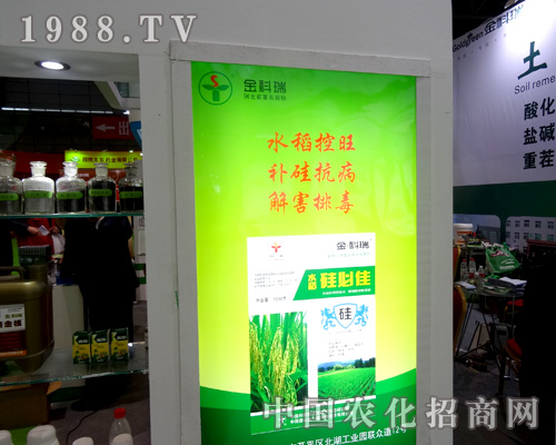 �������2015ȫ��(gu��)ֲ����(hu��)�ϱM��չ�F(xi��n)�������L(f��ng)��