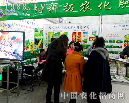 �|ꖿ�����2015�����I�N�ӕ��ς�����A��