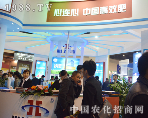 ���B����2015���Ϸ����p�����ς�����A