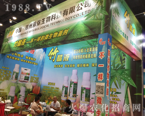 ���z����Ƽ�