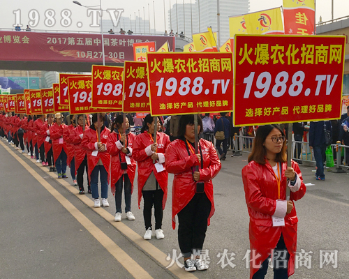 2017��ɽ�|ֲ����(hu��)���r(n��ng)������Ч����(qi��ng)��