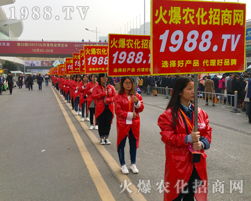 ʮ��𱬣�ʮ��������2017��ɽ�|ֲ���������r(n��ng)���W(w��ng)���ʳ�����