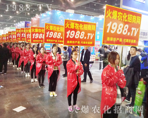     2017�������rˎ���ו��ϻ��r���W��Ӣ�ɳ�������(zh��n)����