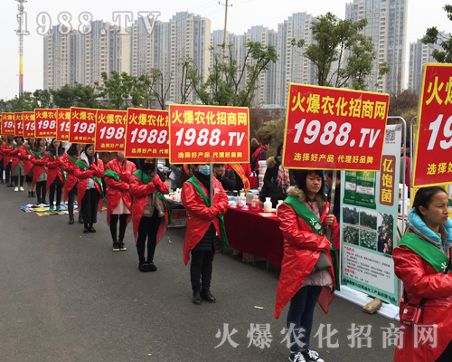     2017�ϲ�ֲ����(hu��)�����r(n��ng)���W(w��ng)�����A����ƪ����