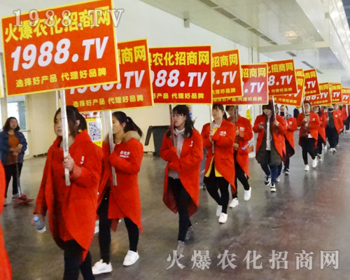     2017����Ϸ����p������1988.TV���̟o�ϵK����������