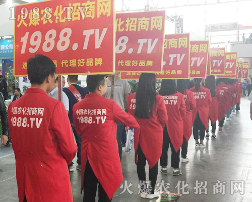 ��ʮ�Č������r���[��