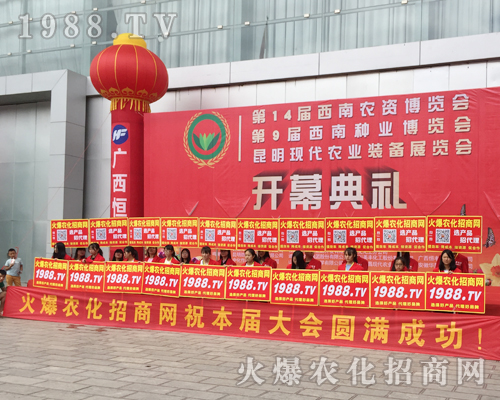 1988.TV�����������2017�����r�Y�����ٴγɞ齹�c��