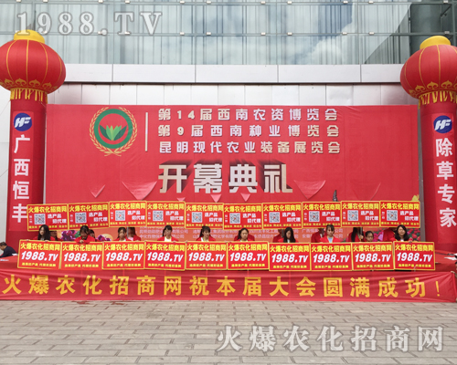 ��ʮ�Č������r���[�����r���˾����I(y��)�I(y��)���������ɿ�