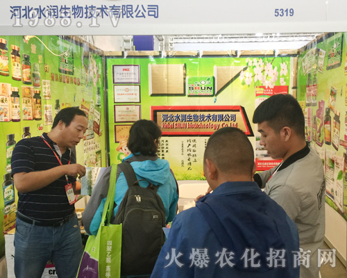 ��ʮ�Č������r���[����ˮ��������������