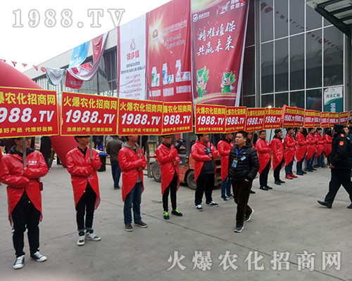 Ҫ����������1988.TV�ذ�����2018�ӱ�ֲ����(hu��)��