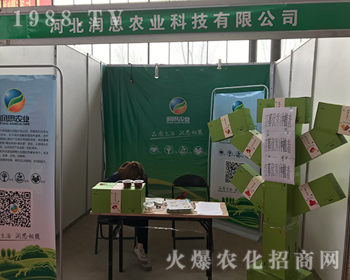 �ӱ���(r��n)˼��(qi��ng)��(sh��)����2018�ӱ�ʯ���fֲ����(hu��)