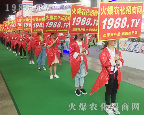 ���r(n��ng)���W(w��ng)�F(tu��n)�Y(ji��)һ�y�ֲ�������2018�����r(n��ng)�Y���[����