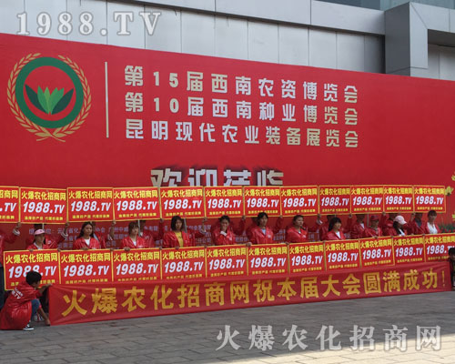 �o(w��)̎�����r(n��ng)���W(w��ng)���M(m��n)�۱M�ǻ𱬼t��