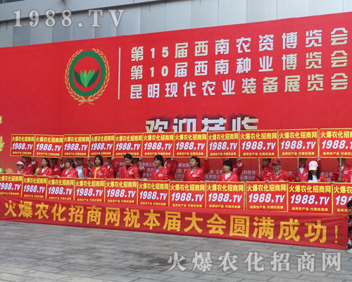 �o̎�����r(n��ng)���W(w��ng)���M�۱M�ǻ𱬼t��