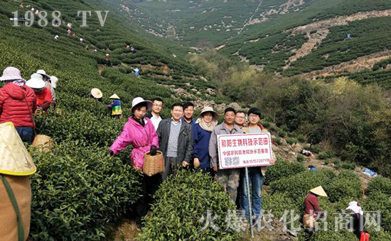 �ӱ����_(t��i)������﹤�����޹�˾