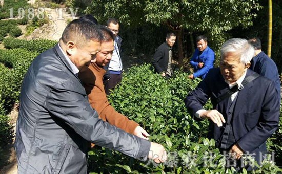 �ӱ����_(t��i)������﹤�����޹�˾