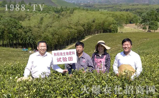 �ӱ����_(t��i)������﹤�����޹�˾