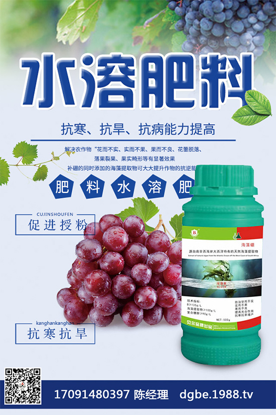 ���{(l��n)�ڰ߲�Σ���@ô��������ԓ��η��Σ������������