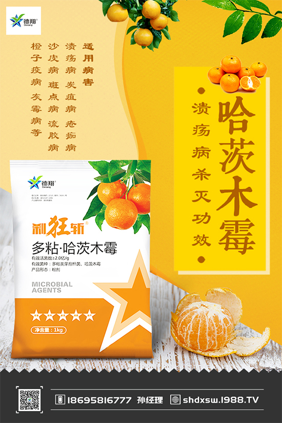 ���{(l��n)�ڰ߲�Σ���@ô�󣬵���ԓ��η����������������