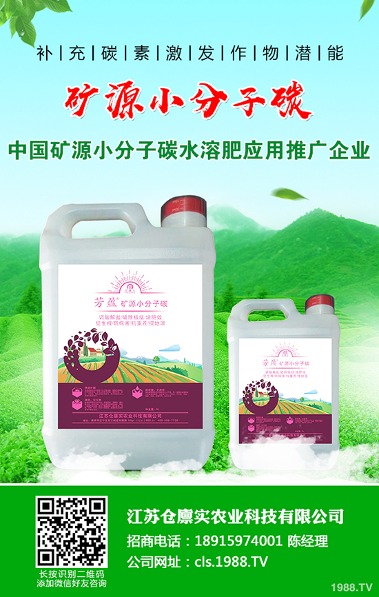 �R������l(f��)���߲���ô�k���R������߲����η�����