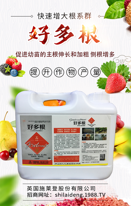 2019��10��12�ս��Շ���(n��i)������������(b��o)�r(ji��)������������(b��o)