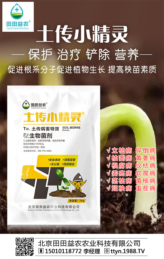 ���Տ�(f��)�Ϸʃr(ji��)����������������A(y��)�y2019-10-12