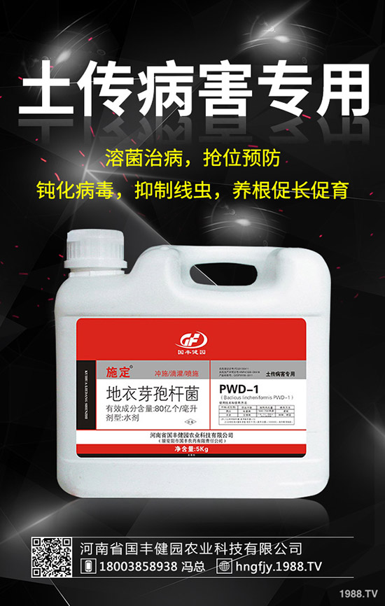 С�����݄�ʲô�r(sh��)���ã�С������݄��ĕr(sh��)�g��ע�����(xi��ng)��