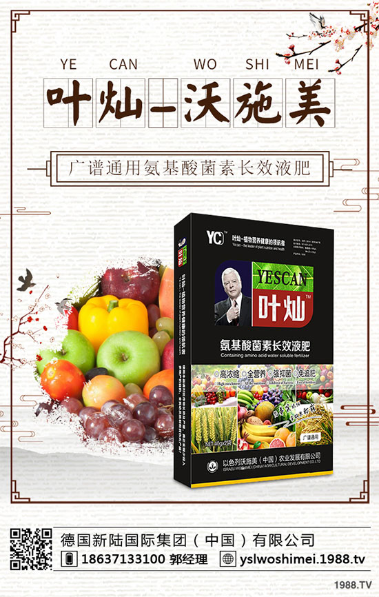 ��С����ʲô���F(xi��n)�S������������С���S����������δ�ʩ��