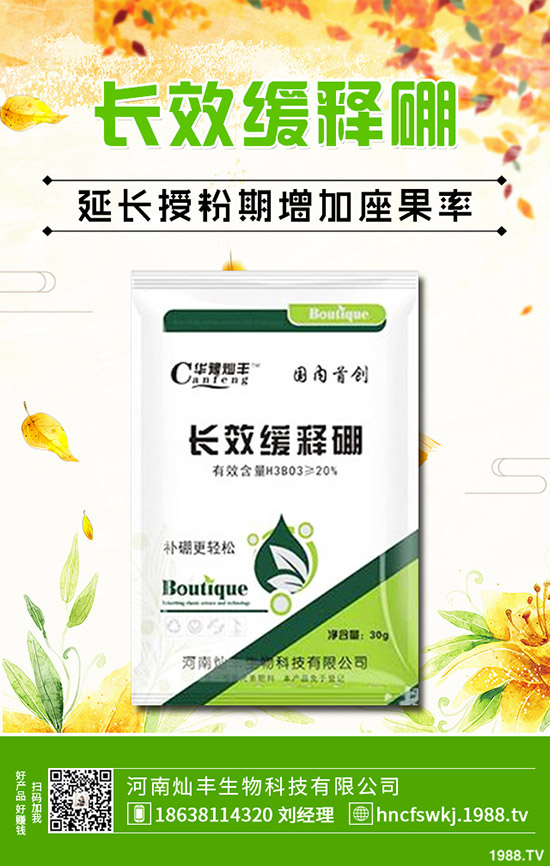 ���X�ݺ��~�X����ʲô��ͬ�����X�ݺ��~�X�ݵą^(q��)�e��Щ��