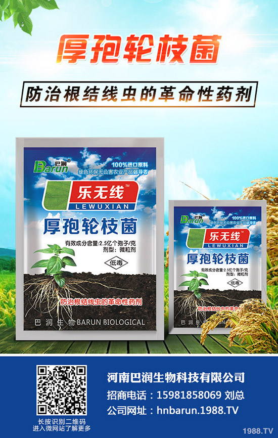 ����÷��ô�B(y��ng)������÷���B(y��ng)ֳ������ע�������