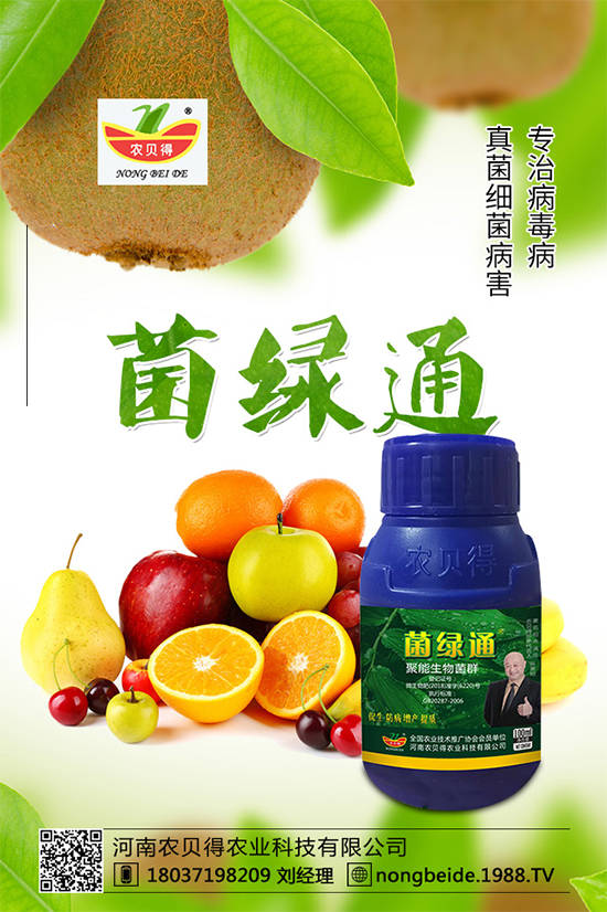 С��������_�x�N����֪������x�N�Ŀ��@�