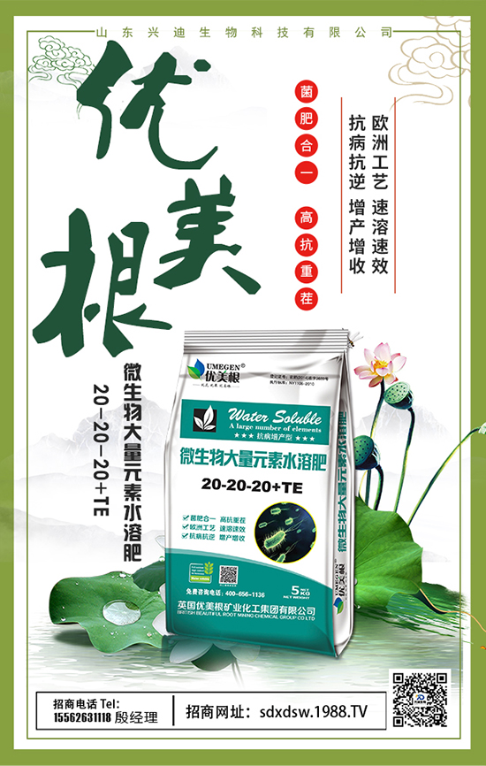 ɽ�|�d������Ƽ����޹�˾