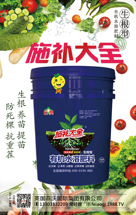 Ӣ��(gu��)���և�(gu��)�H���F(tu��n)���޹�˾