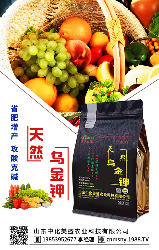 �۲˞�ʲô�����F(xi��n)�������۲˿��ĵķ��δ�ʩ��