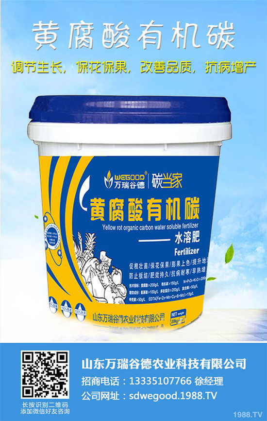 С�ײ�ʲô�r��Nֲ��С�ײ˸߮a(ch��n)�Nֲ���g