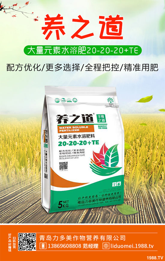 �ײ˰��P��Σ���@ô��������ԓ��η������ײ˰��P�����δ�ʩ