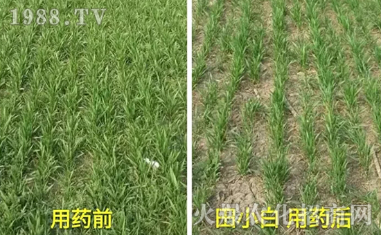 ��(ji��)��(ji��)����η�������ʲôˎ����ô��ˎЧ������