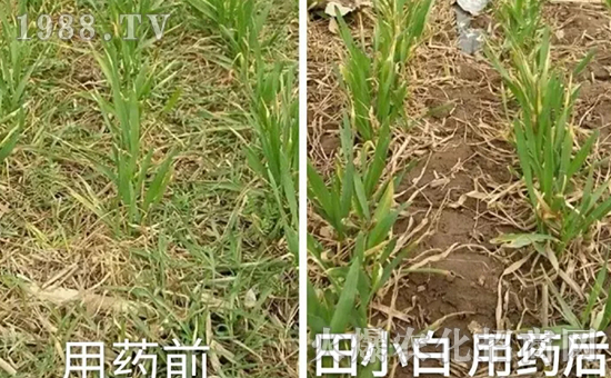 ��(ji��)��(ji��)����η�������ʲôˎ����ô��ˎЧ���ã�