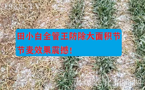 ��(ji��)��(ji��)����η�������ʲôˎ����ô��ˎЧ������