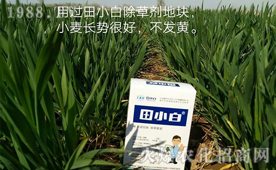 ��(ji��)��(ji��)����η���