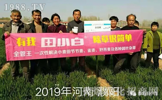 39��(ji��)��(ji��)����η�������ʲôˎ����ô��ˎЧ���ã�